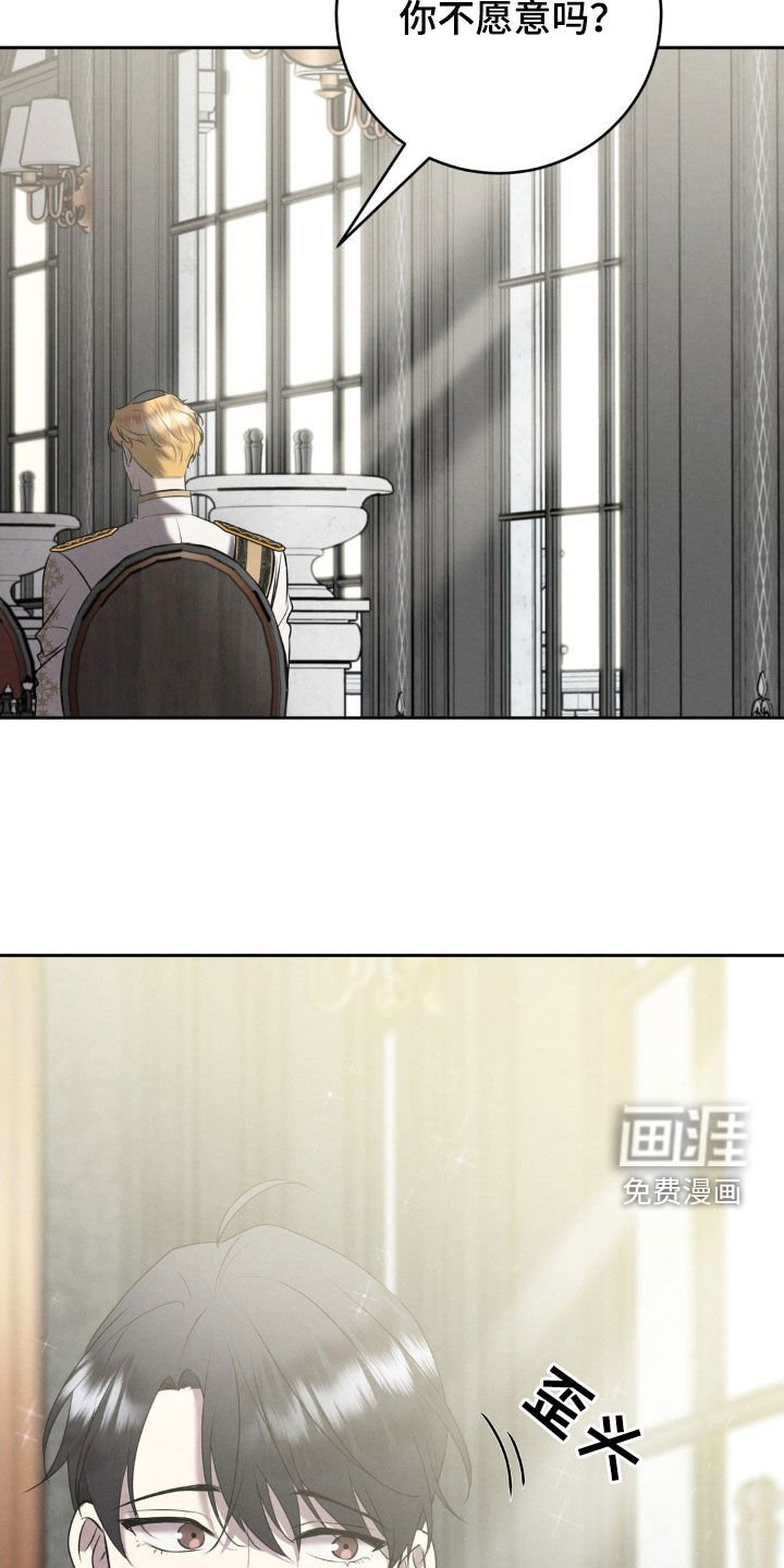 第20章：婚姻法
