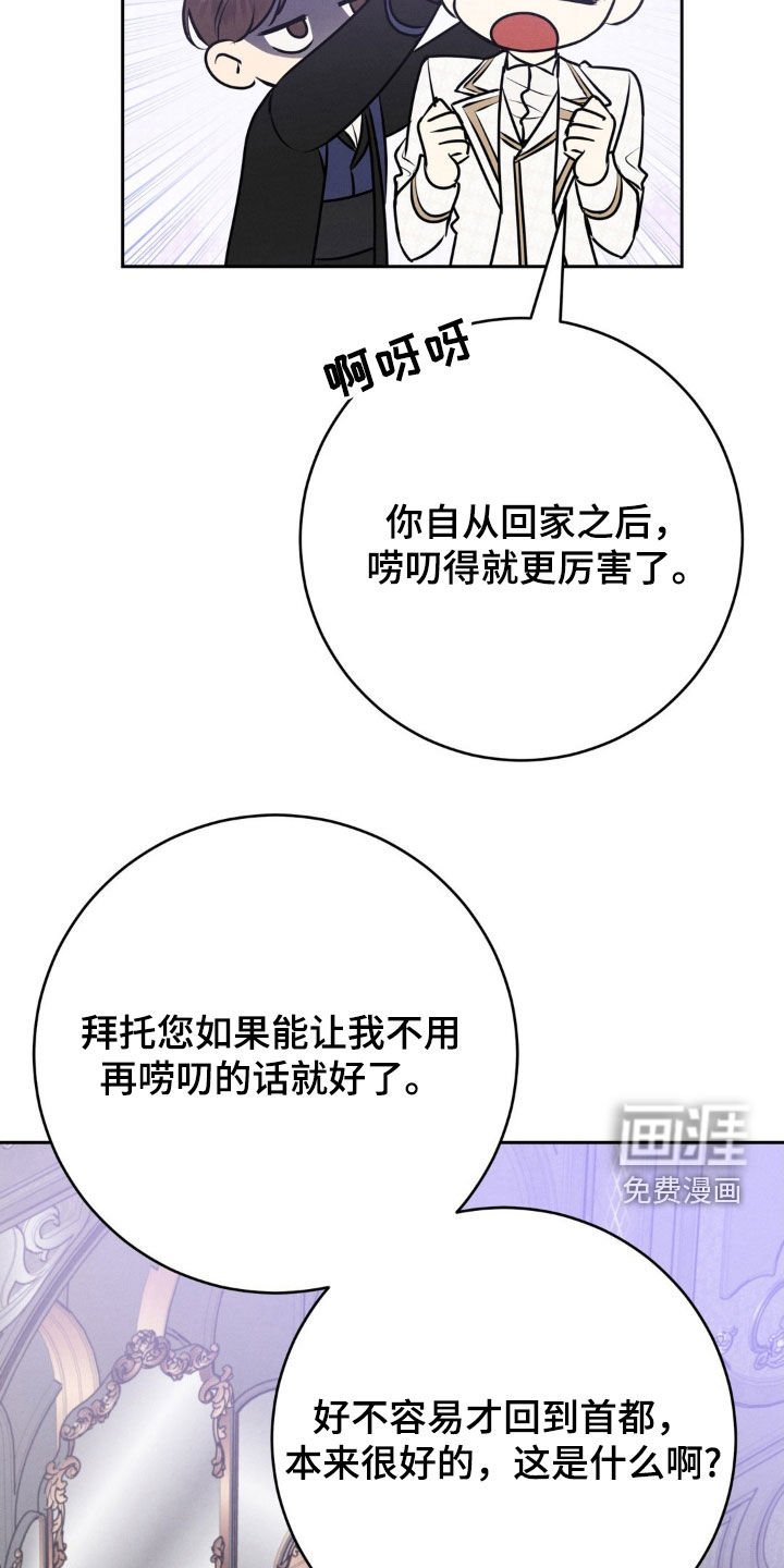 第20章：婚姻法