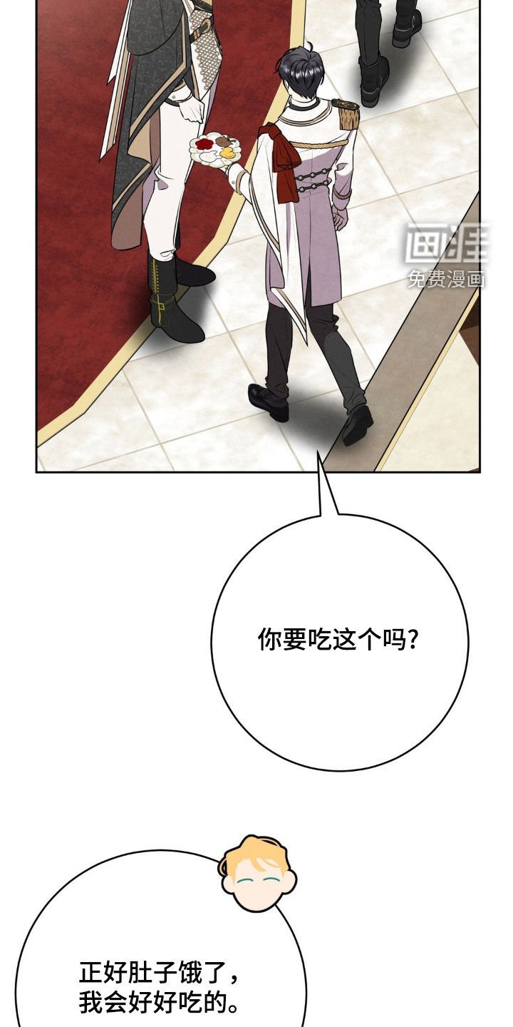 第26章：17年