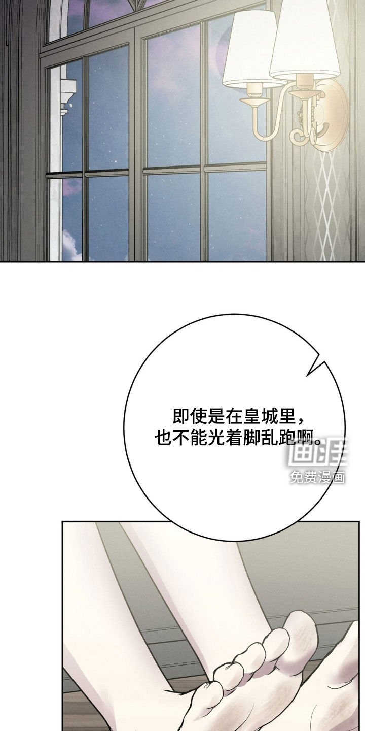 第30章：矛盾