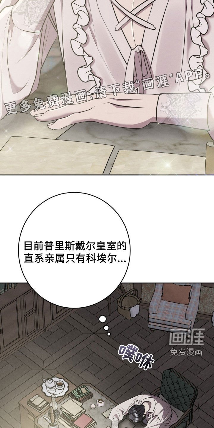 第44章：理由