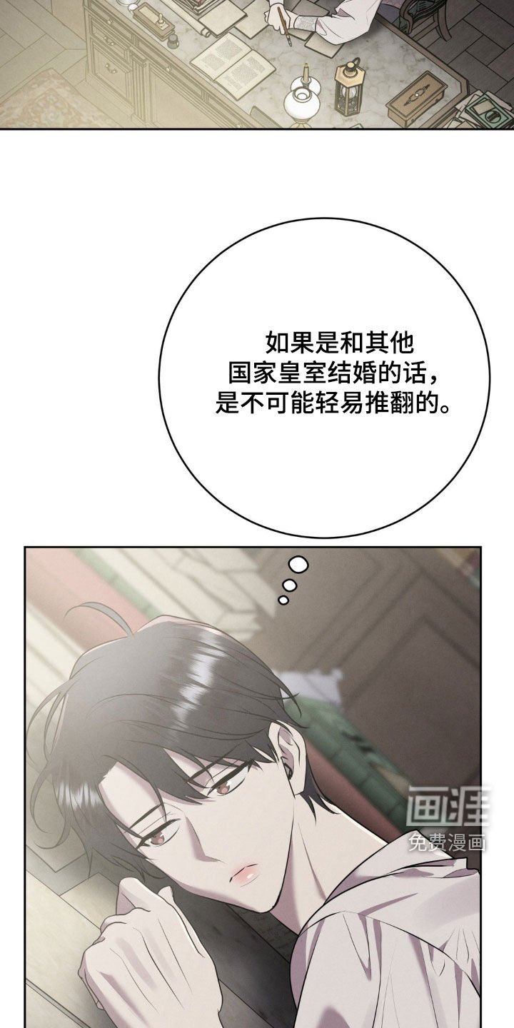 第44章：理由