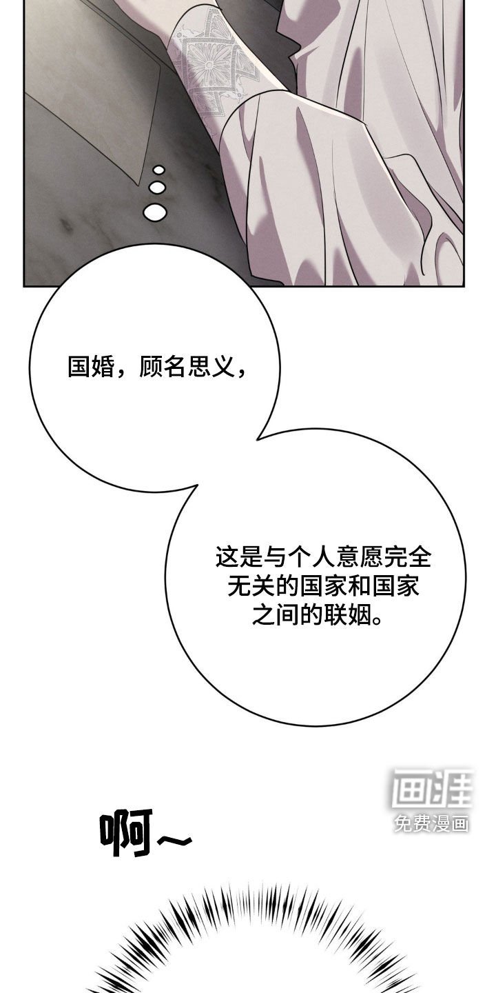 第44章：理由