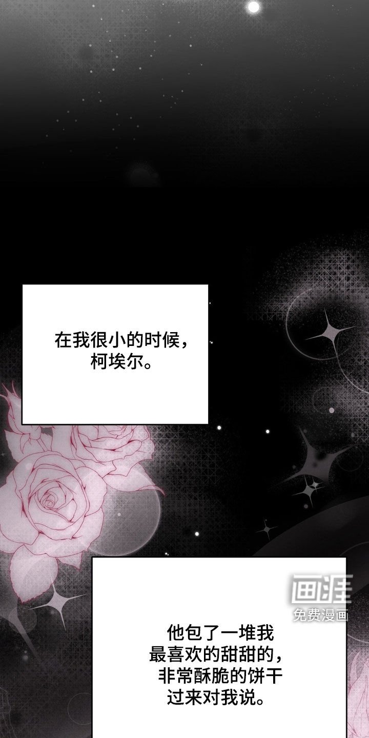 第44章：理由