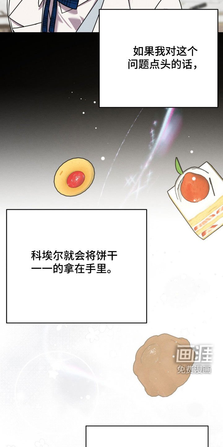 第44章：理由