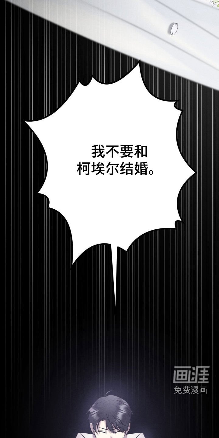 第44章：理由