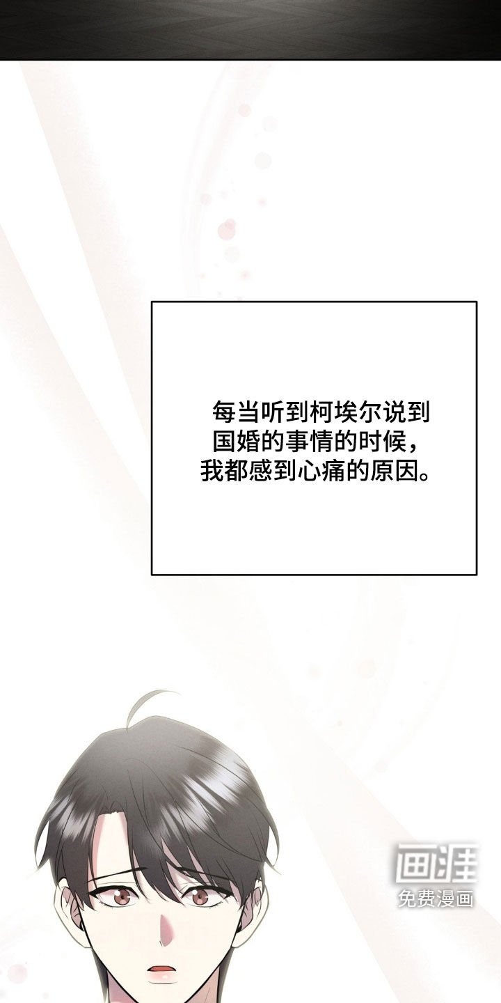 第44章：理由