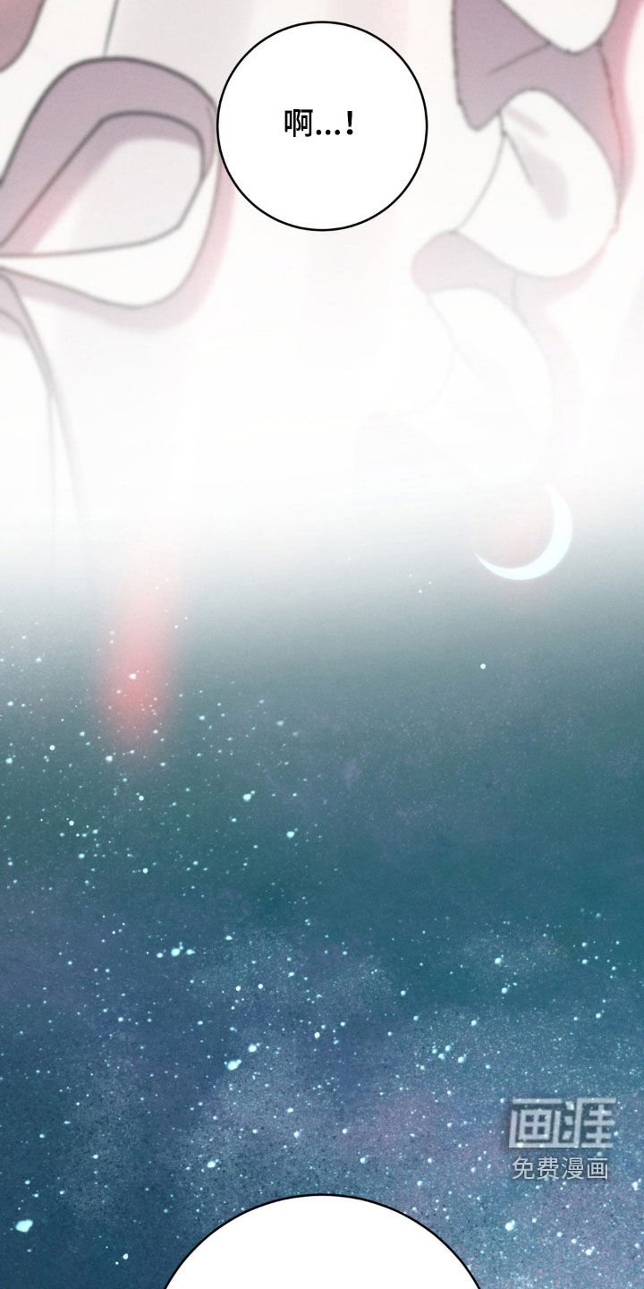 第44章：理由