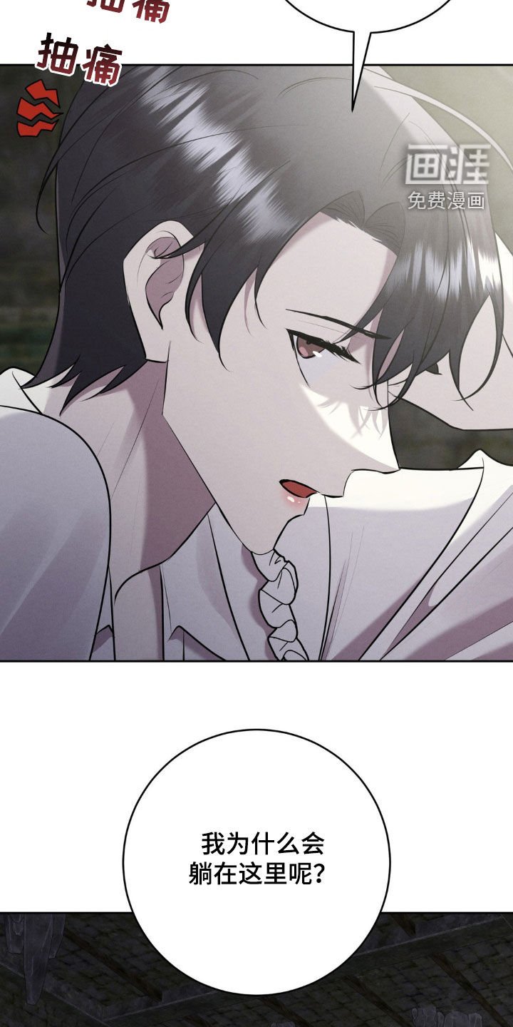 第46章：入侵者