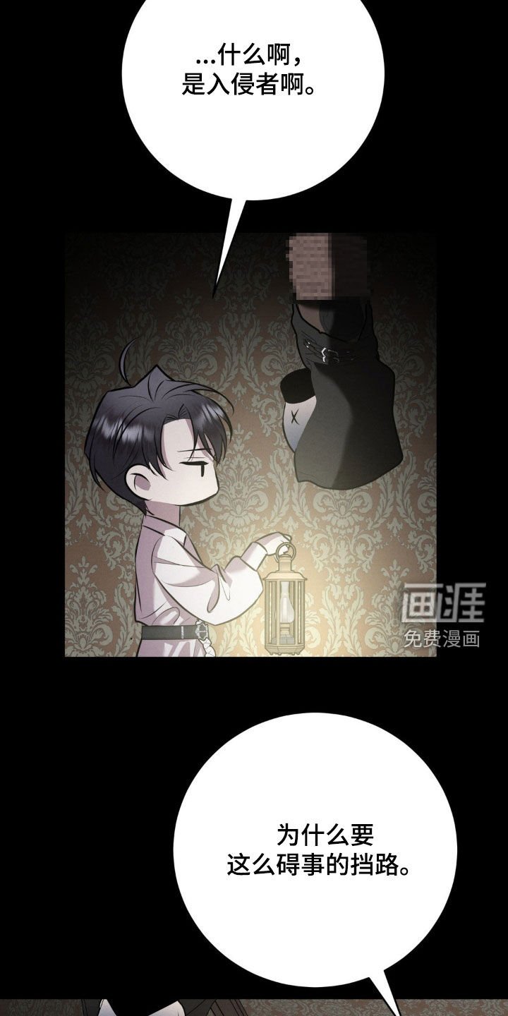 第46章：入侵者