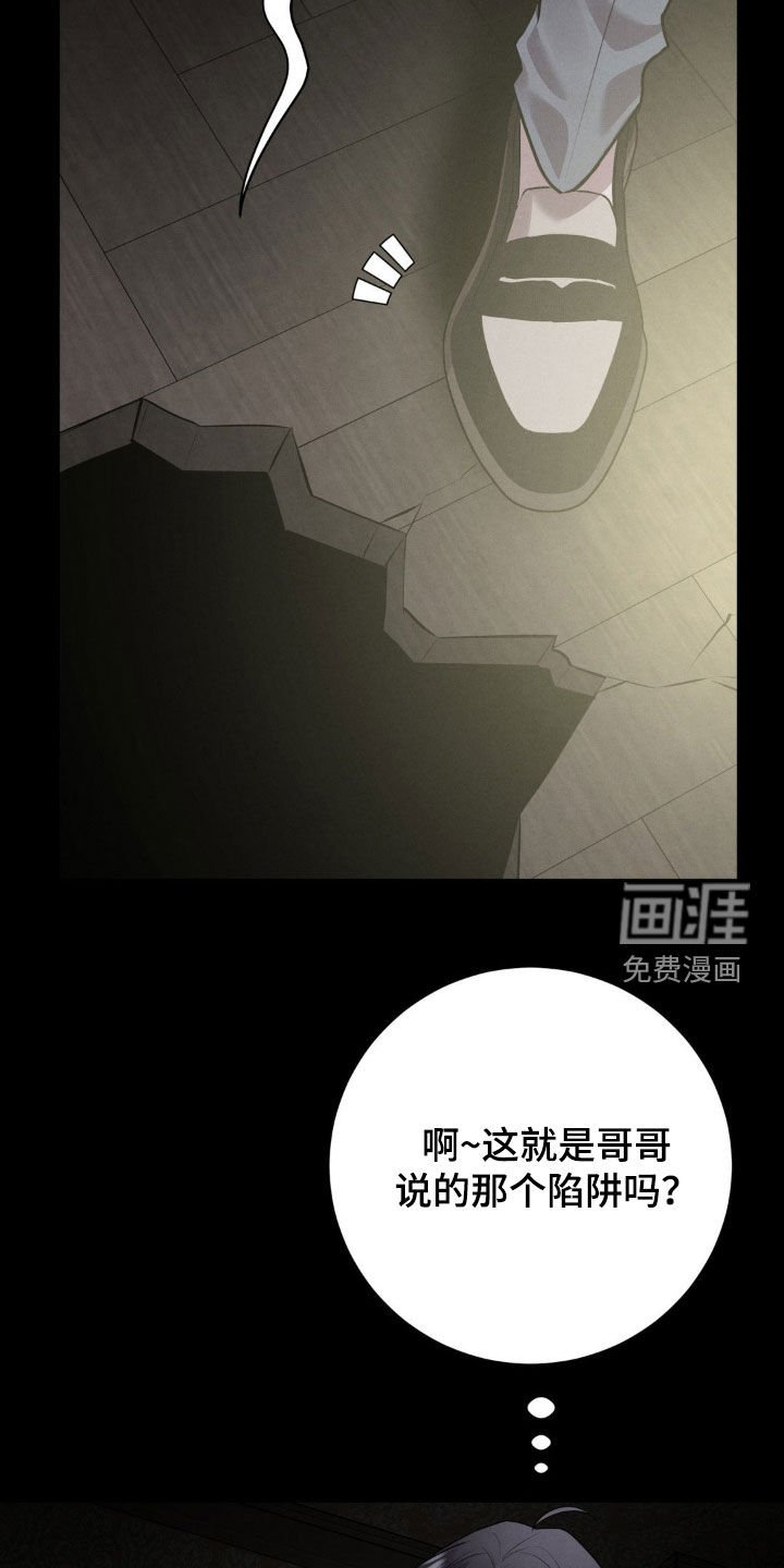 第46章：入侵者
