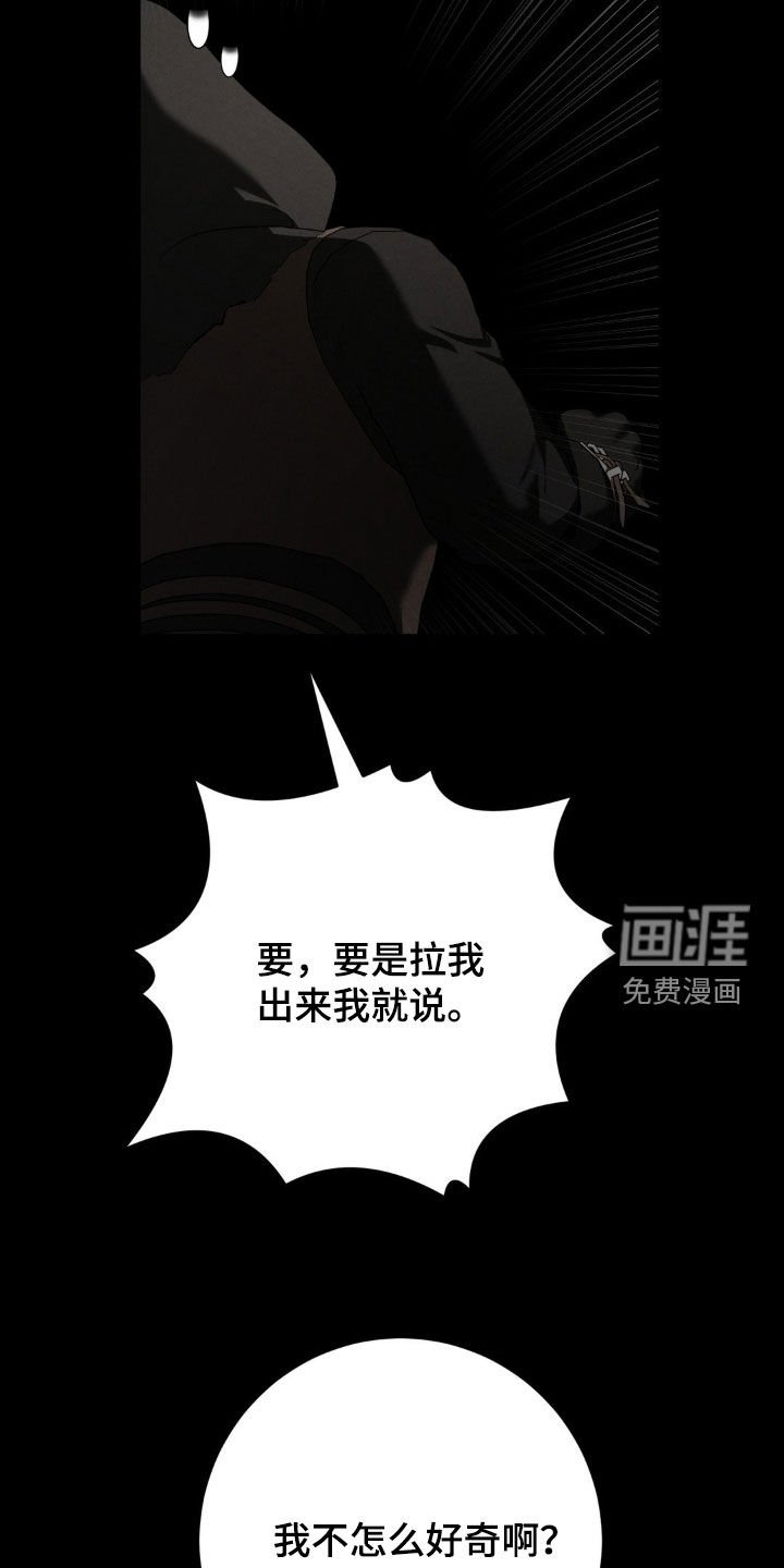 第46章：入侵者