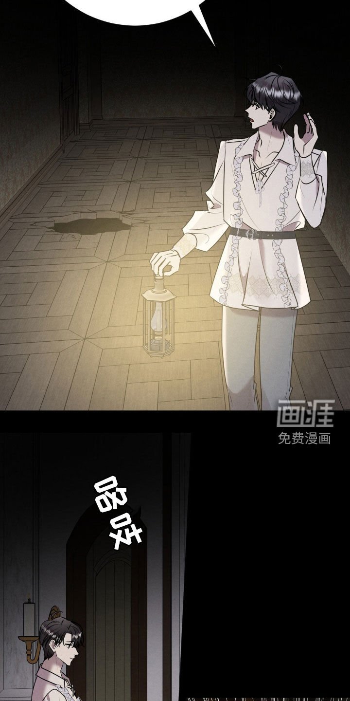 第46章：入侵者