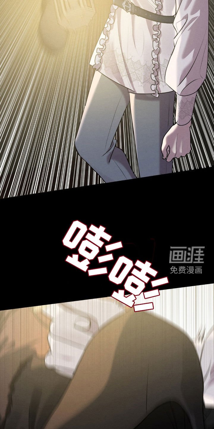 第46章：入侵者