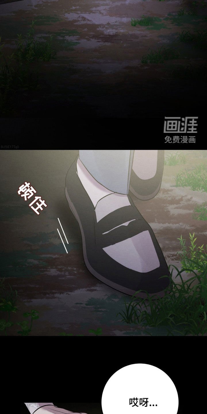 第47章：陷阱