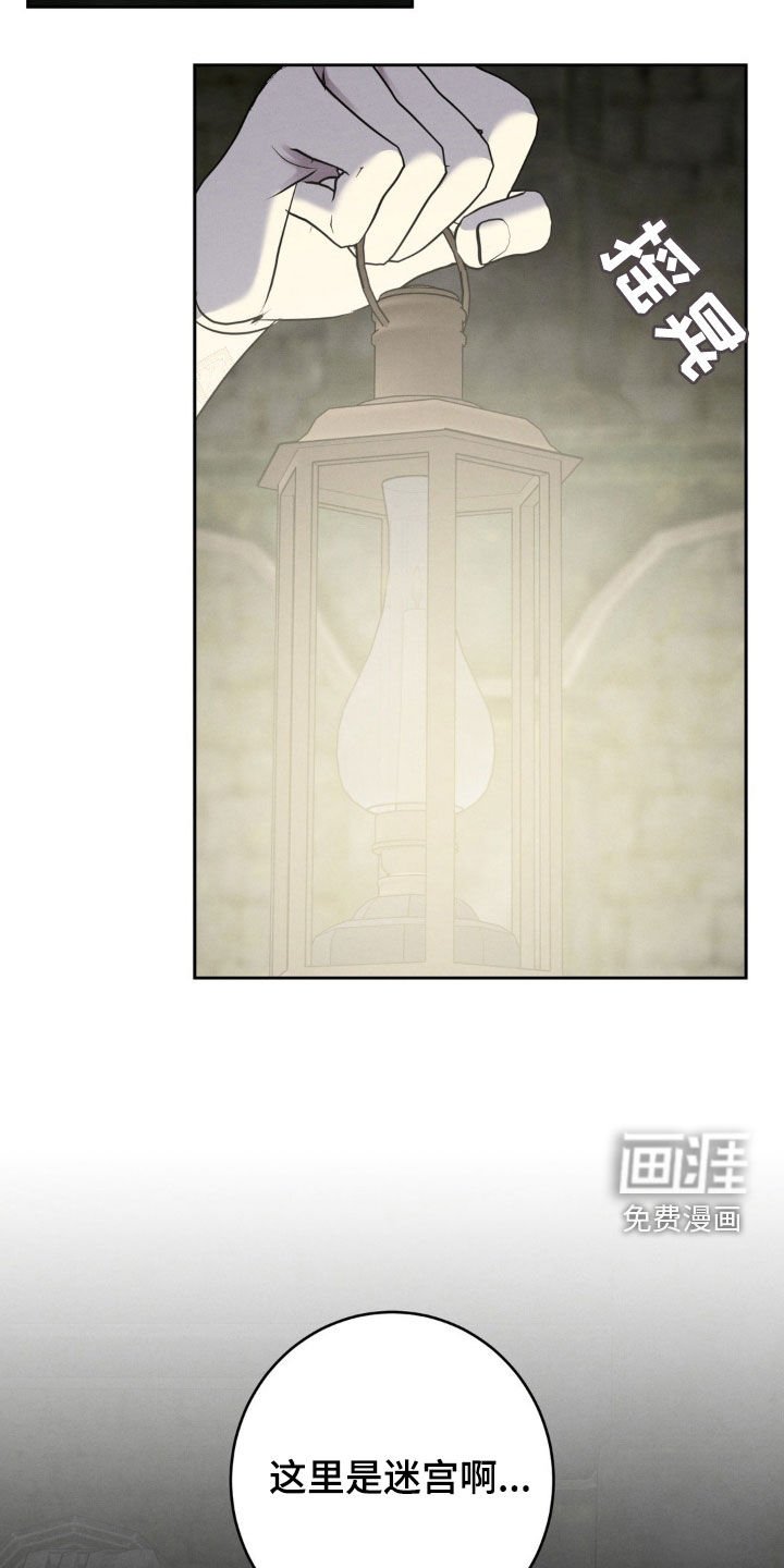 第49章：总有一条路