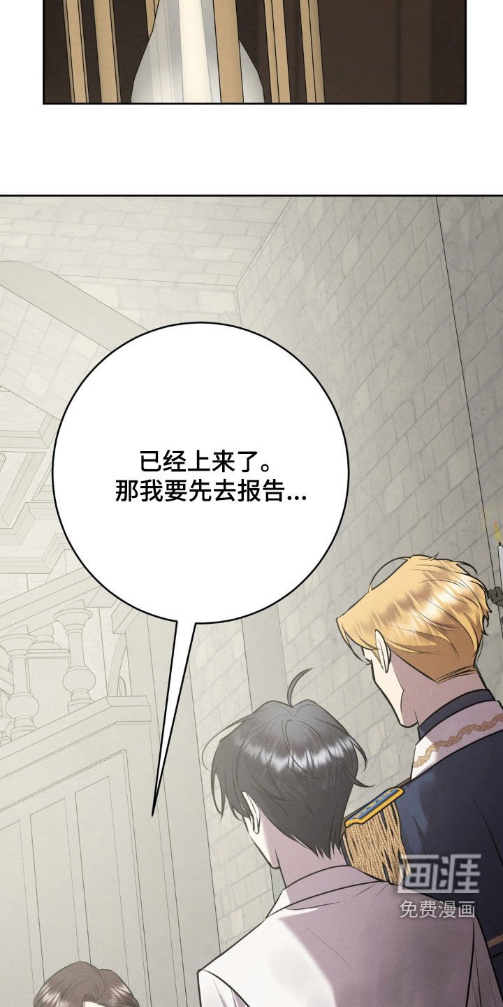 第52章：谁说解决了