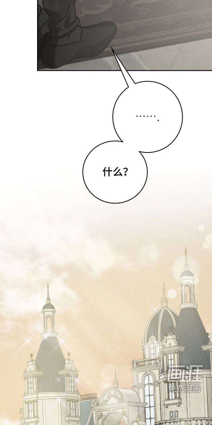 第52章：谁说解决了