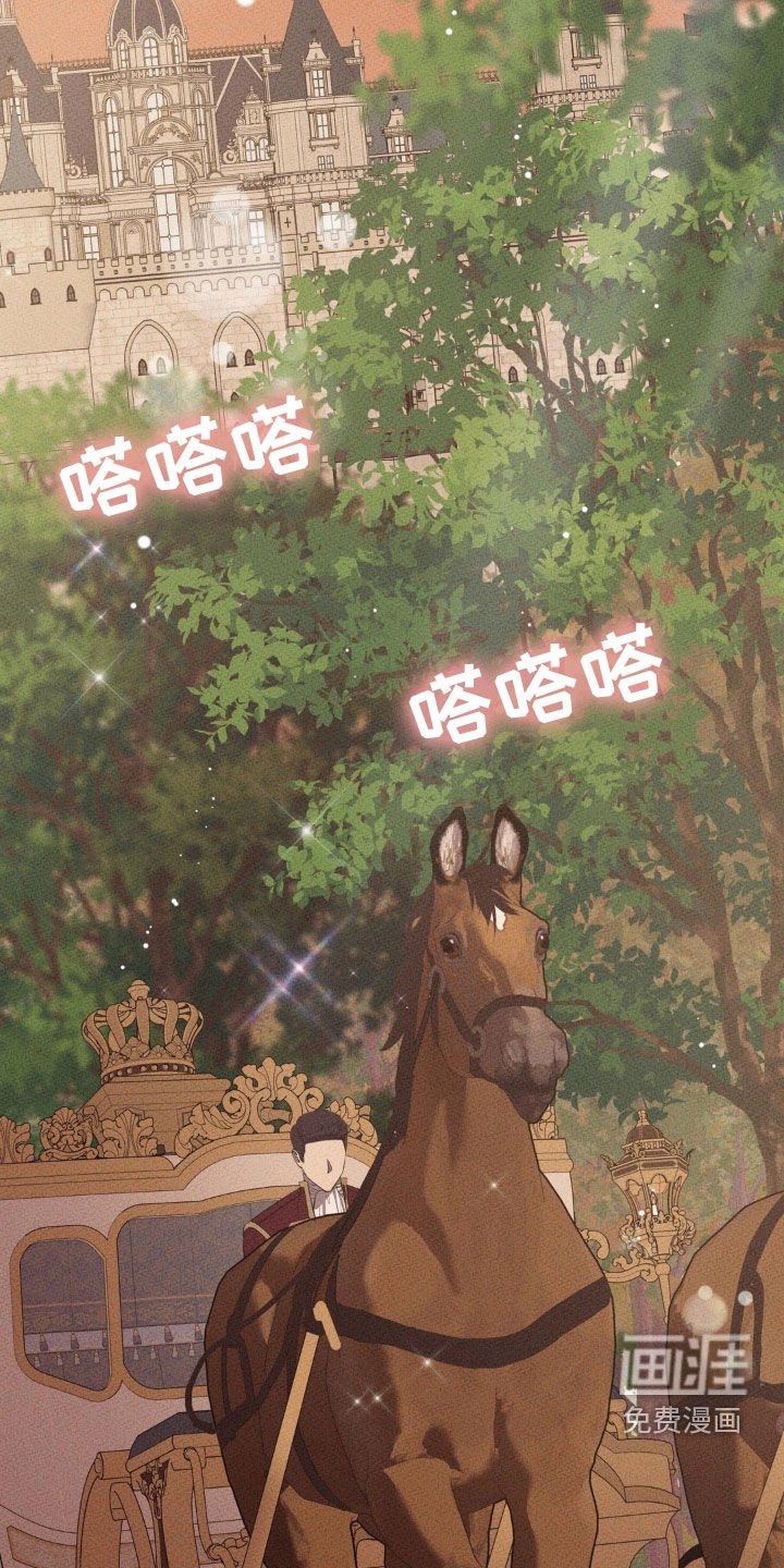 第52章：谁说解决了