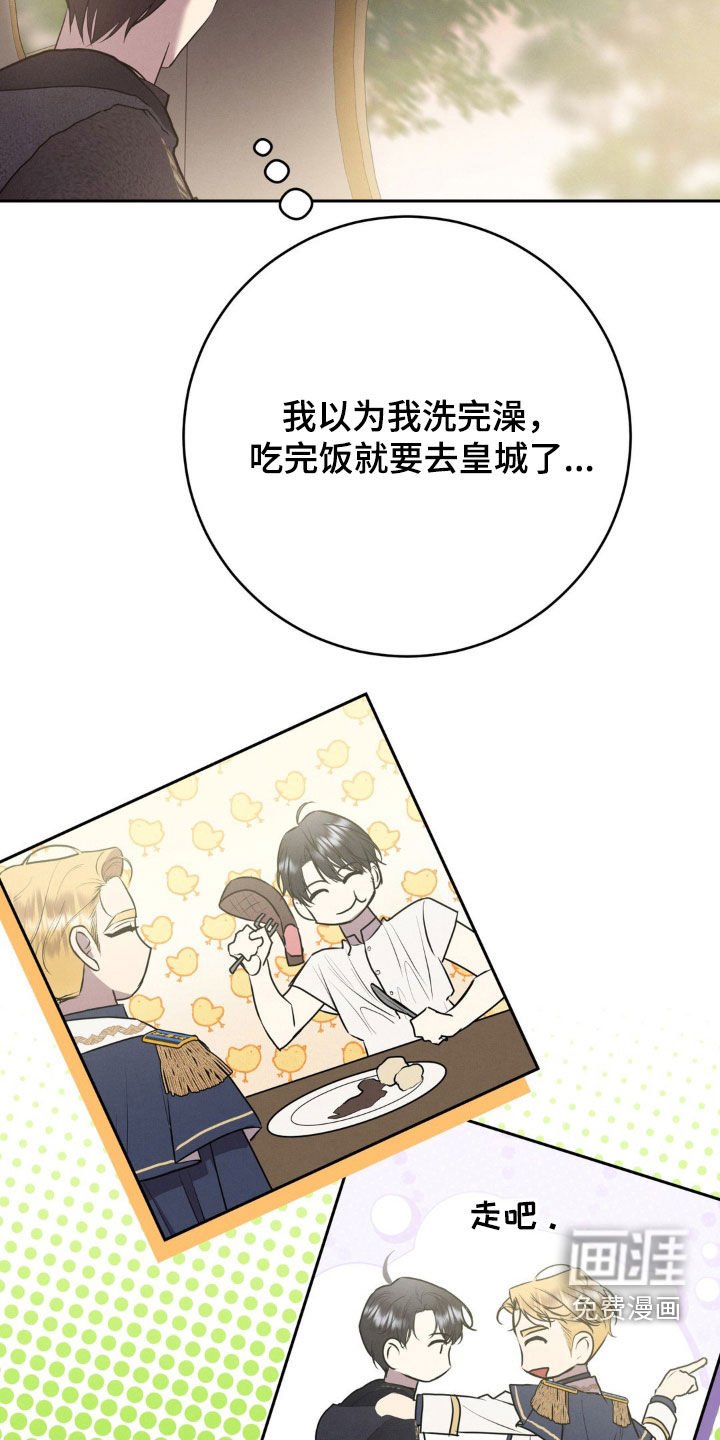 第52章：谁说解决了
