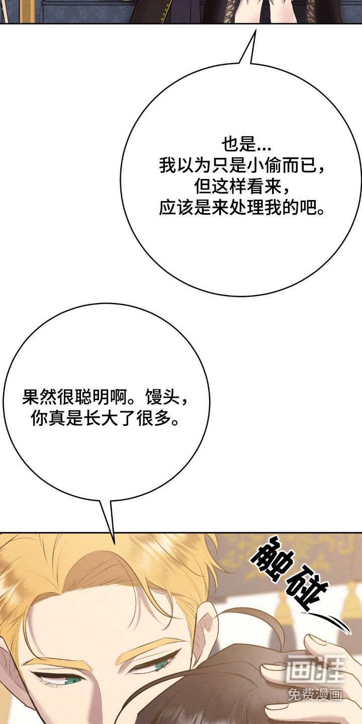 第53章：检查伤口