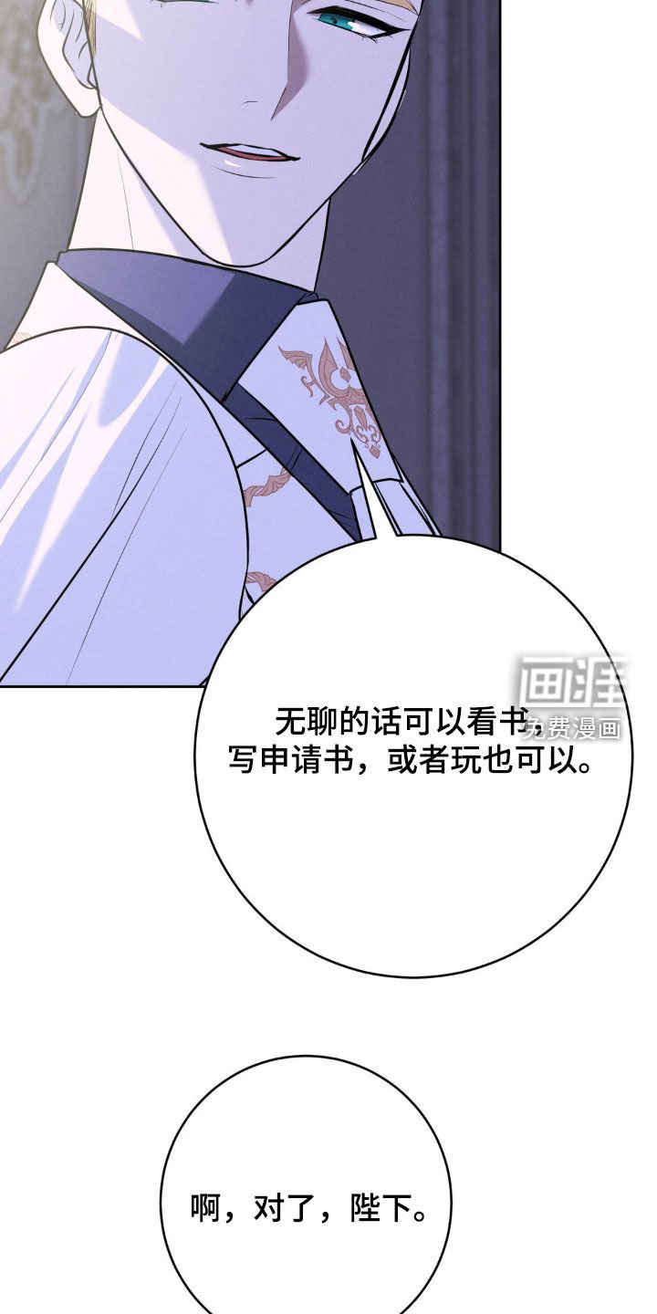 第55章：17年