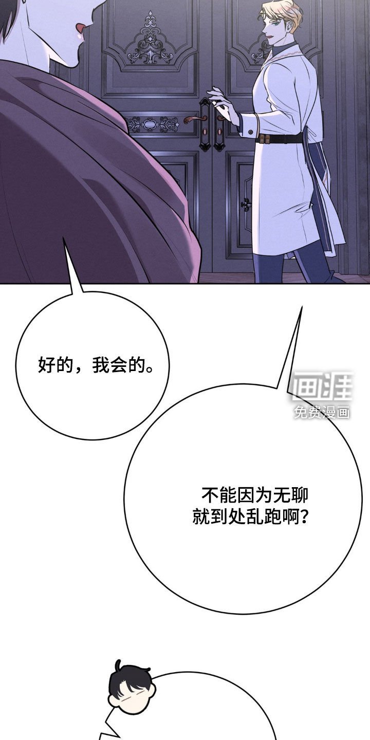 第55章：17年