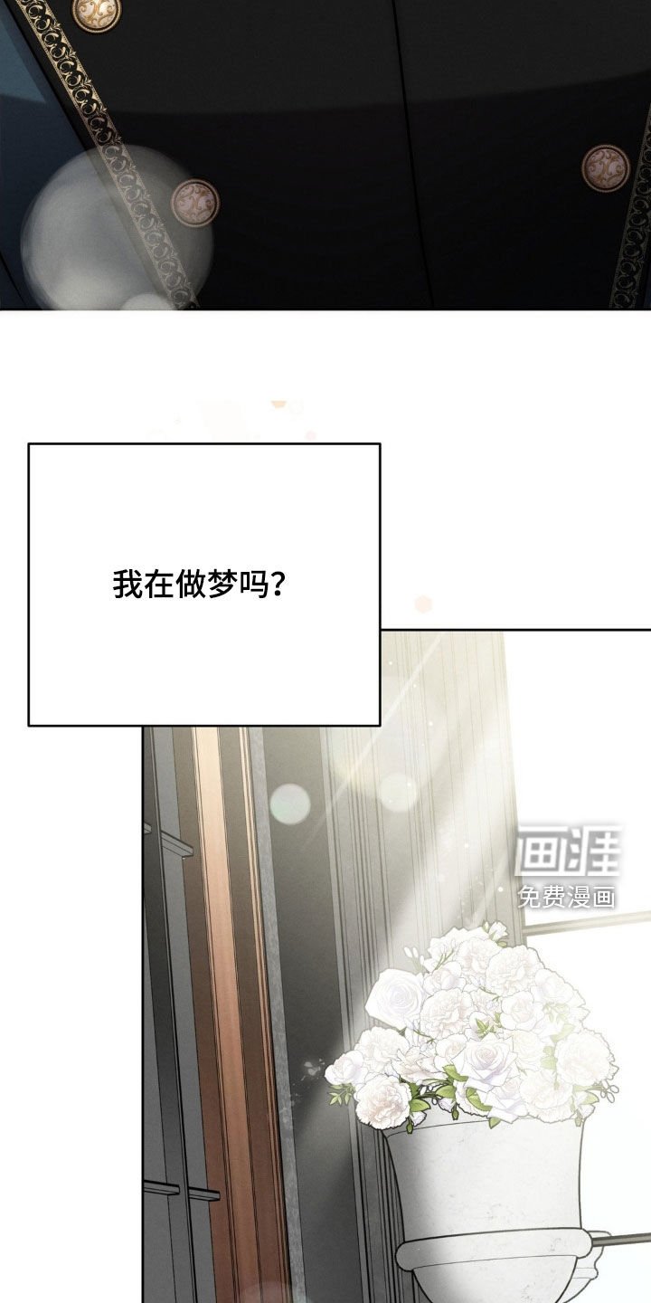 第62章：石板