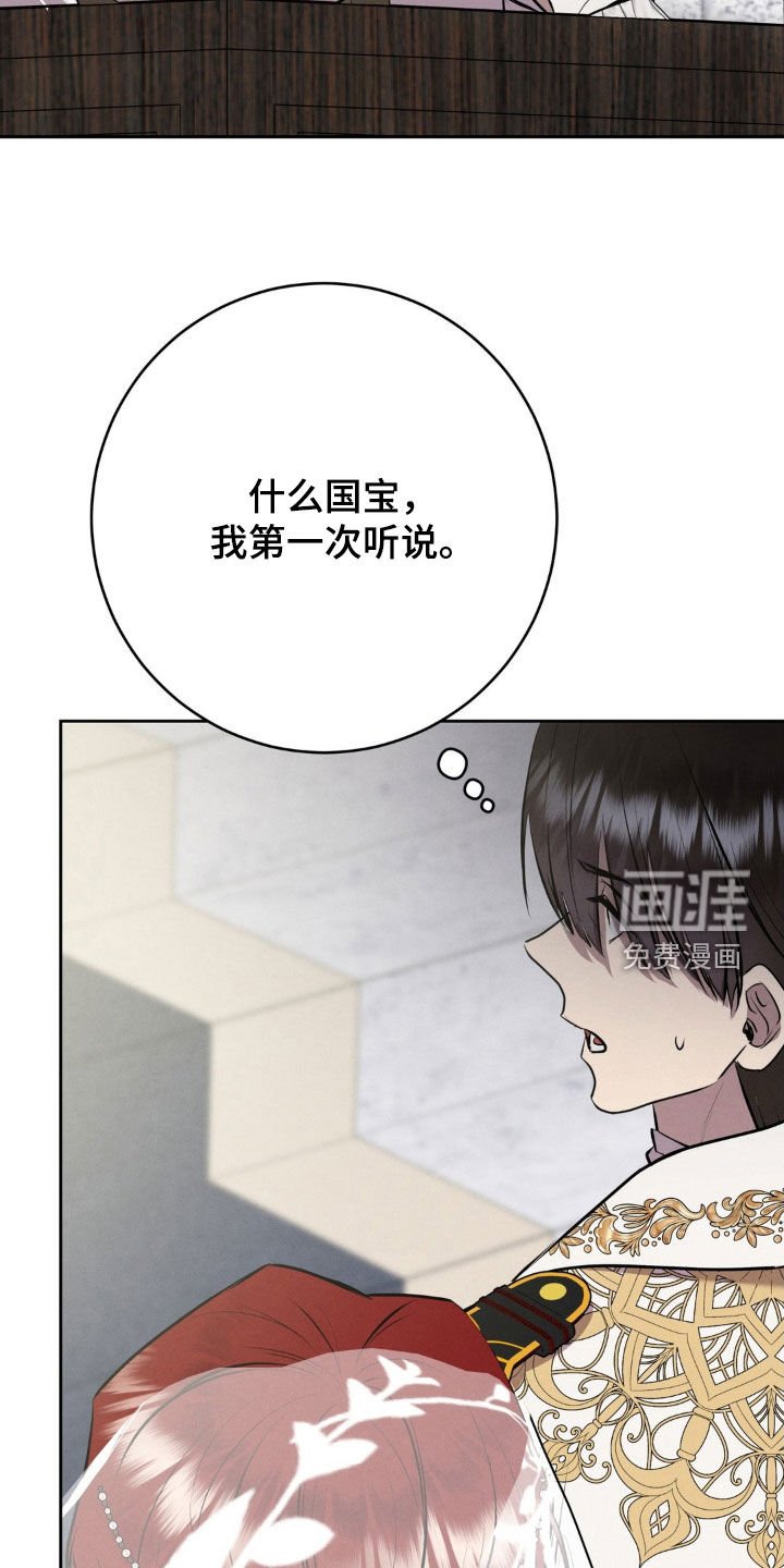 第75章：国宝