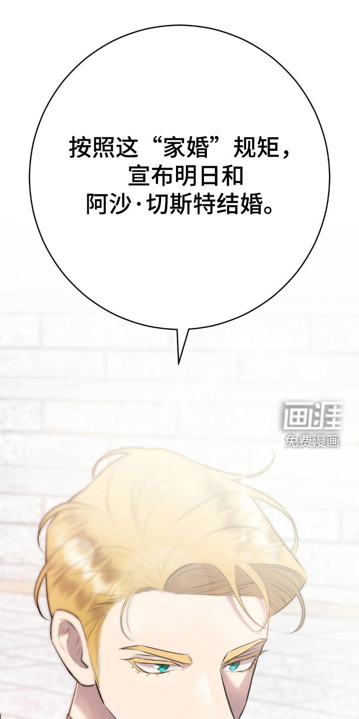 第75章：国宝
