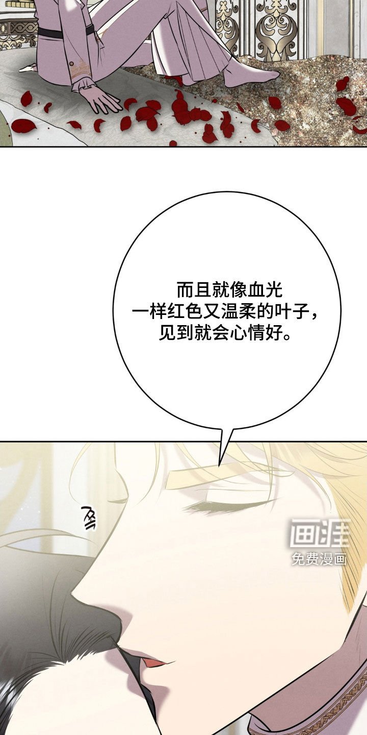 第80章：新婚之夜