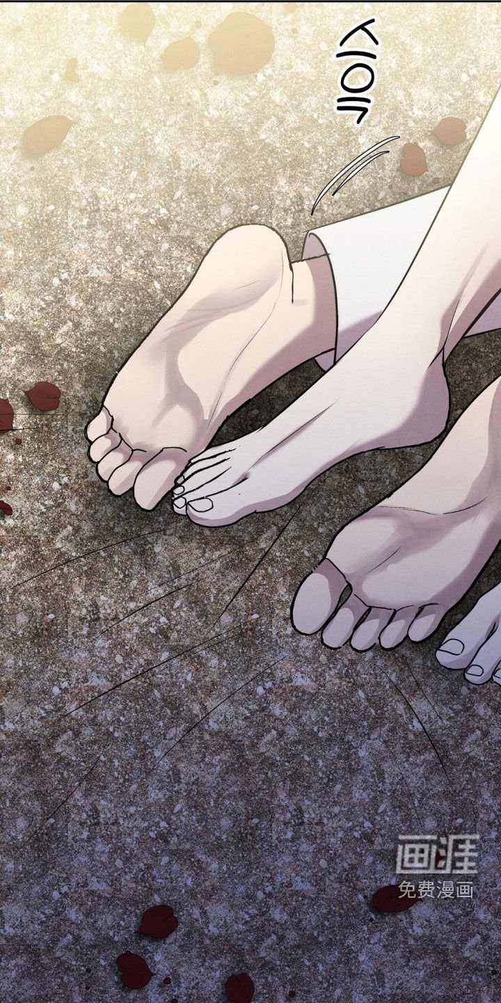 第80章：新婚之夜