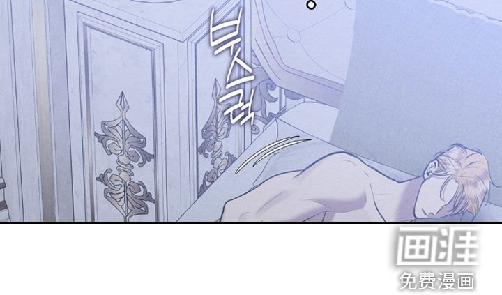 第81章：不是梦