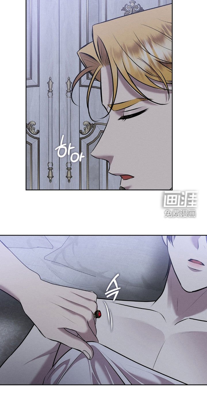 第81章：不是梦