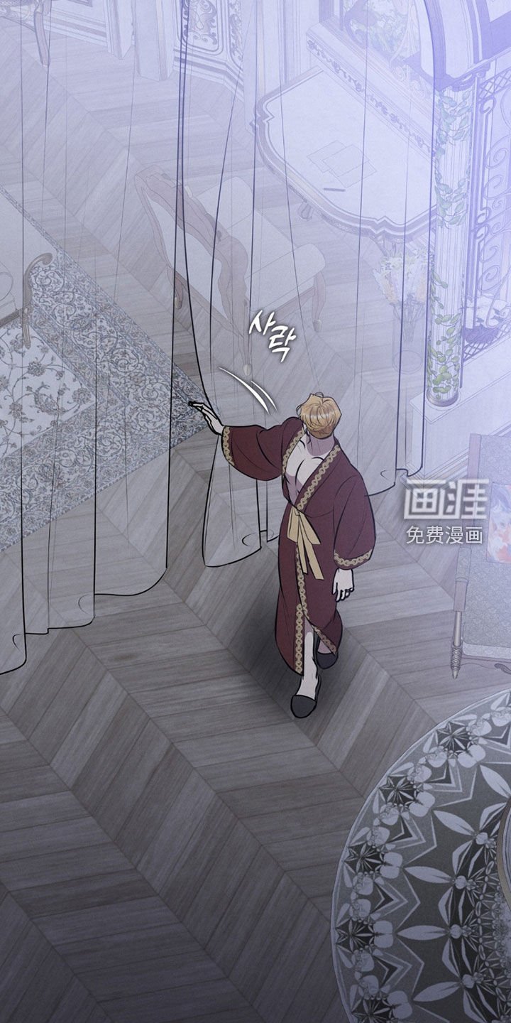 第81章：不是梦