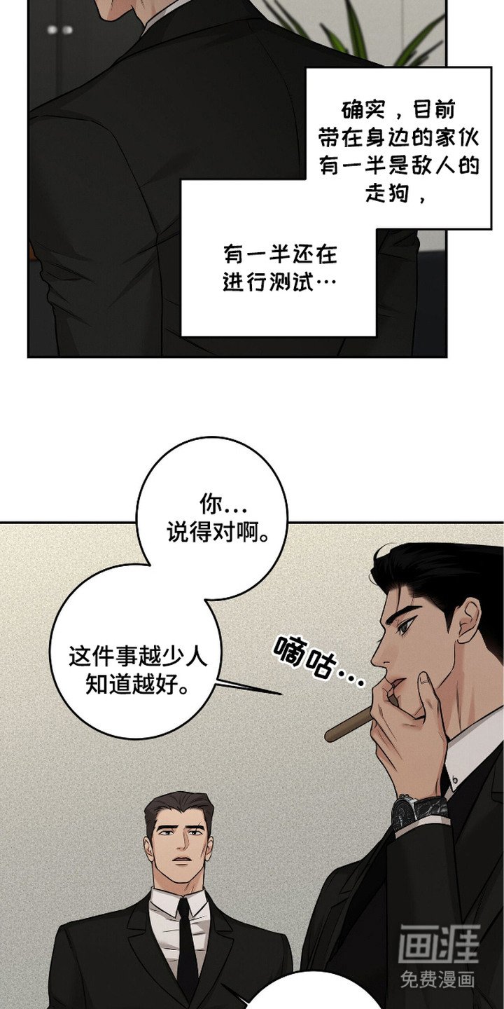 第13章：计划