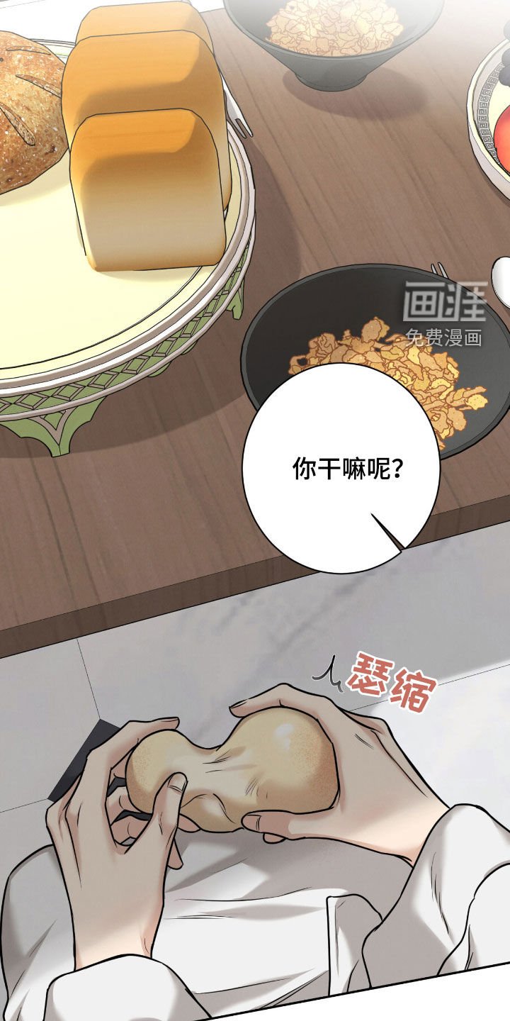 第19章：赌约