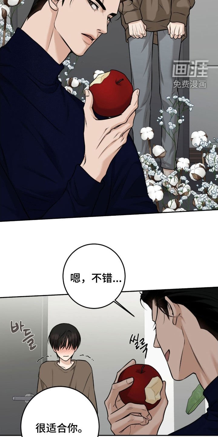 第37章：特殊装扮