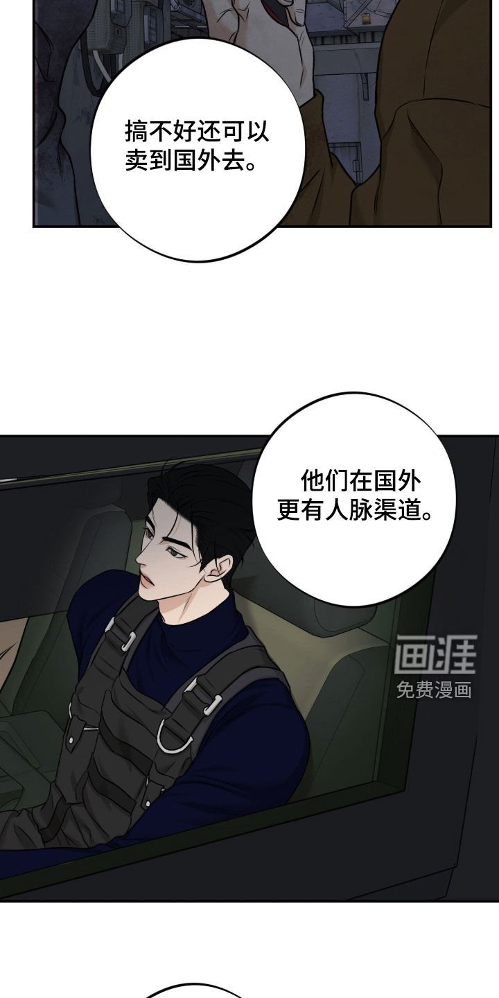 第39章：行动