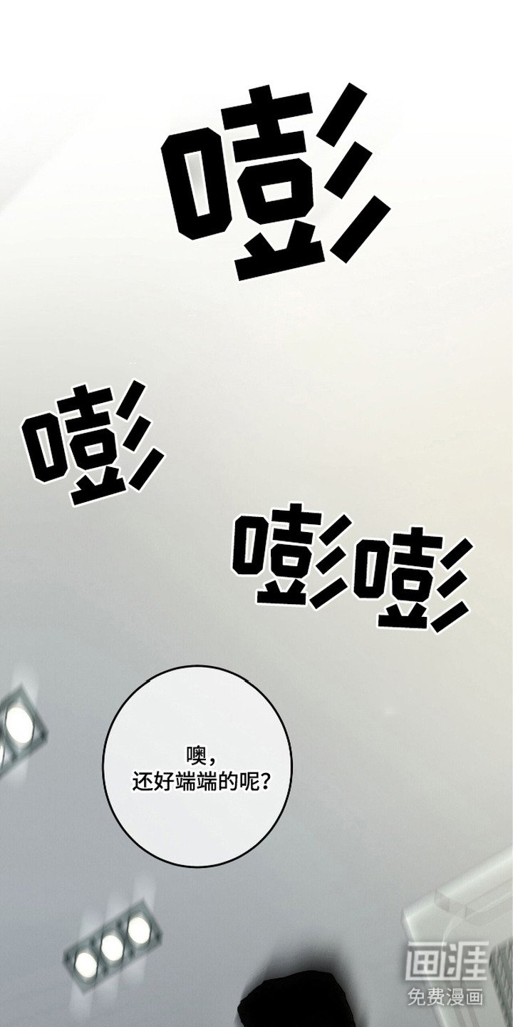 第7章：坦白