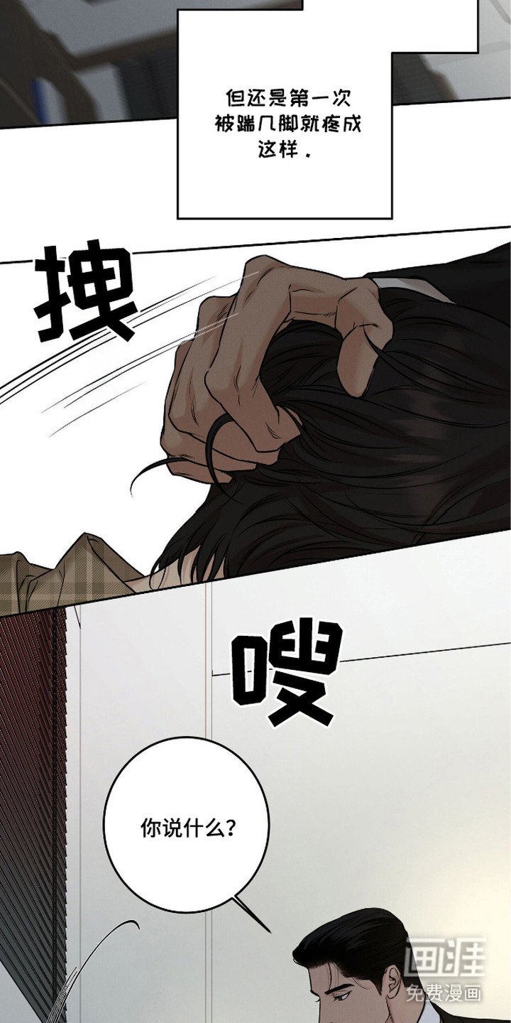 第7章：坦白