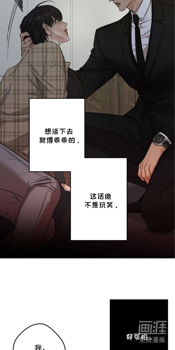 第7章：坦白