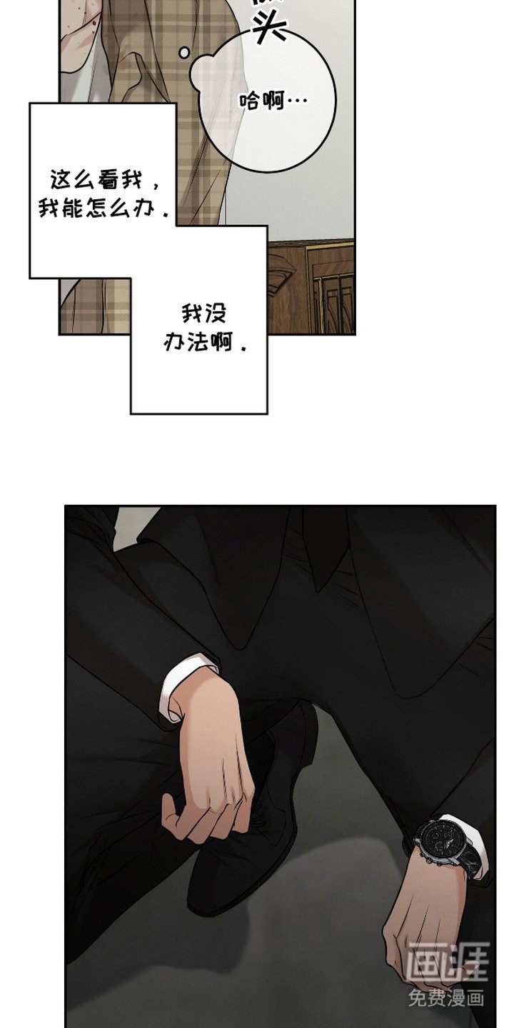 第8章：像狗一样
