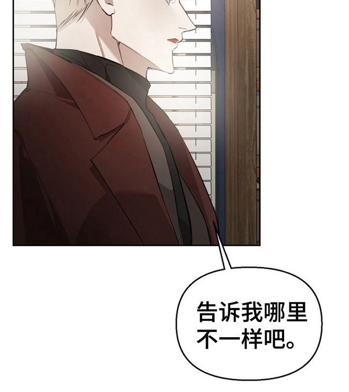 第11章：最大的问题
