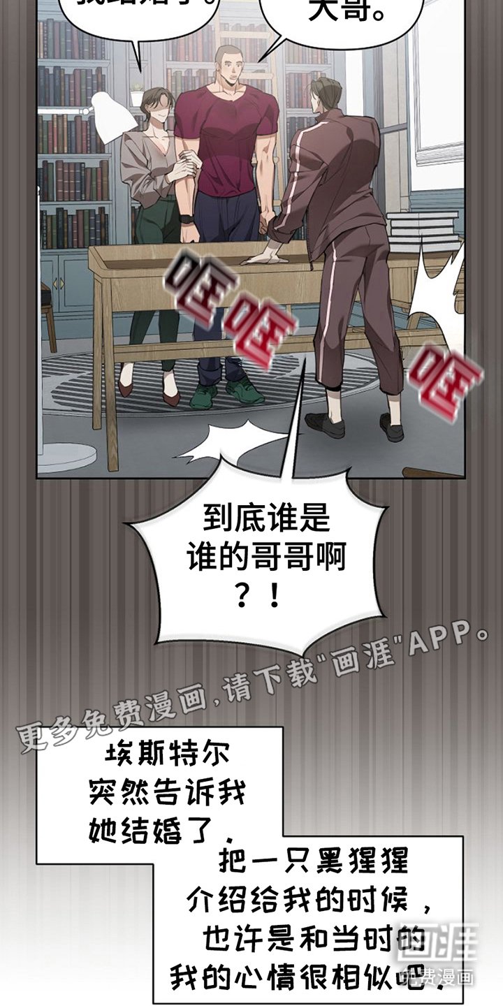第20章：具体的回答