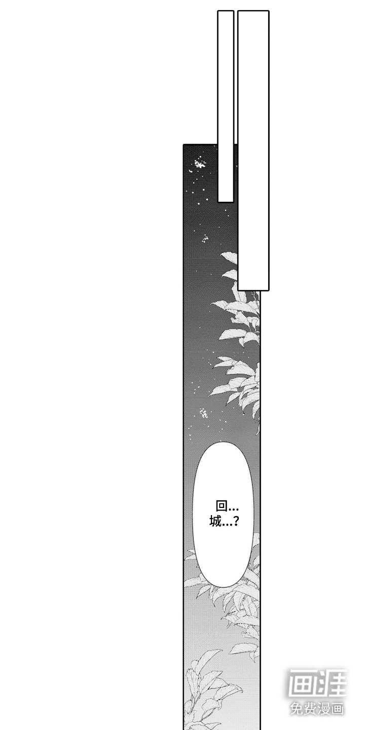 第13章：安慰