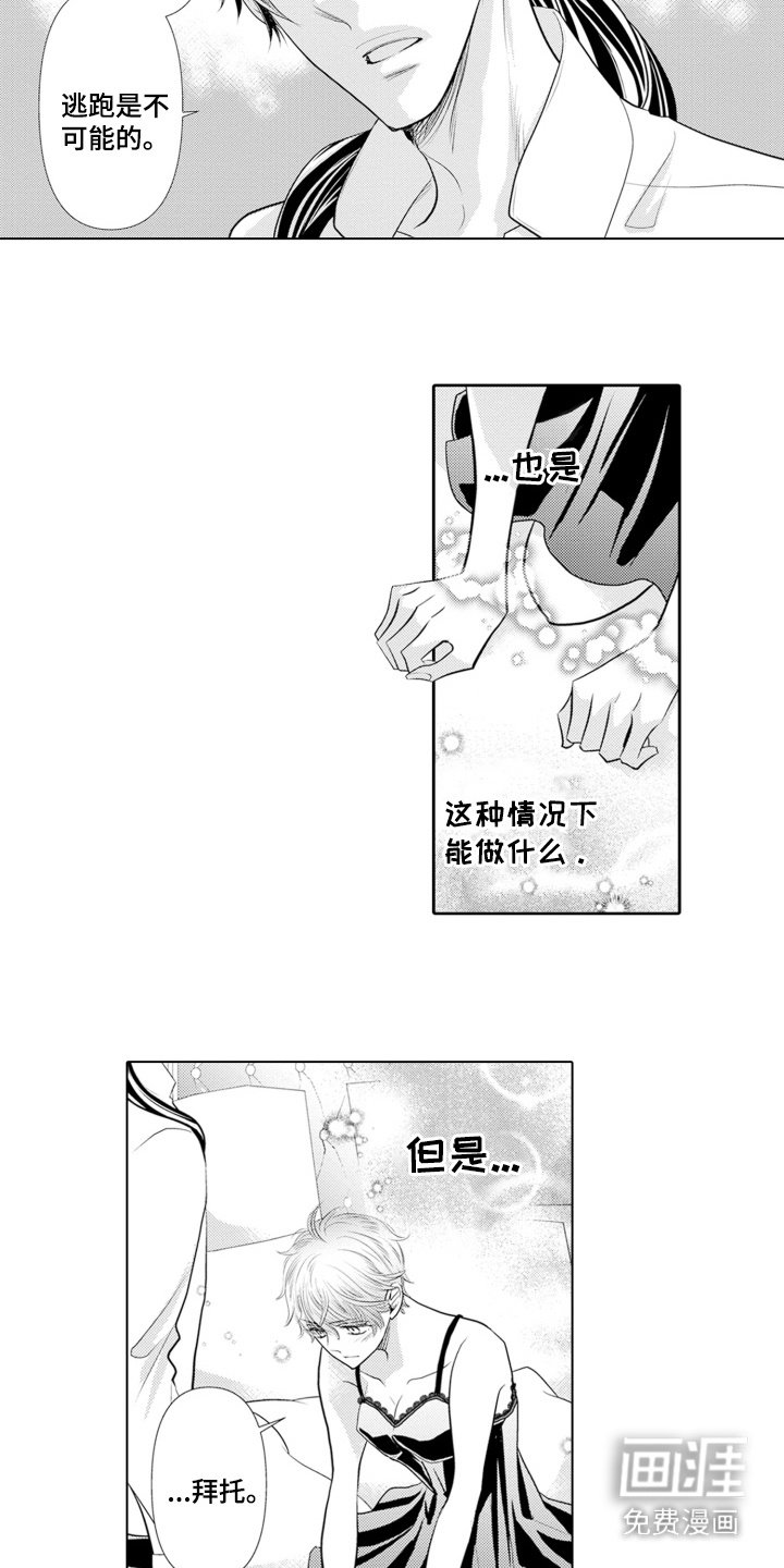 第8章：条件