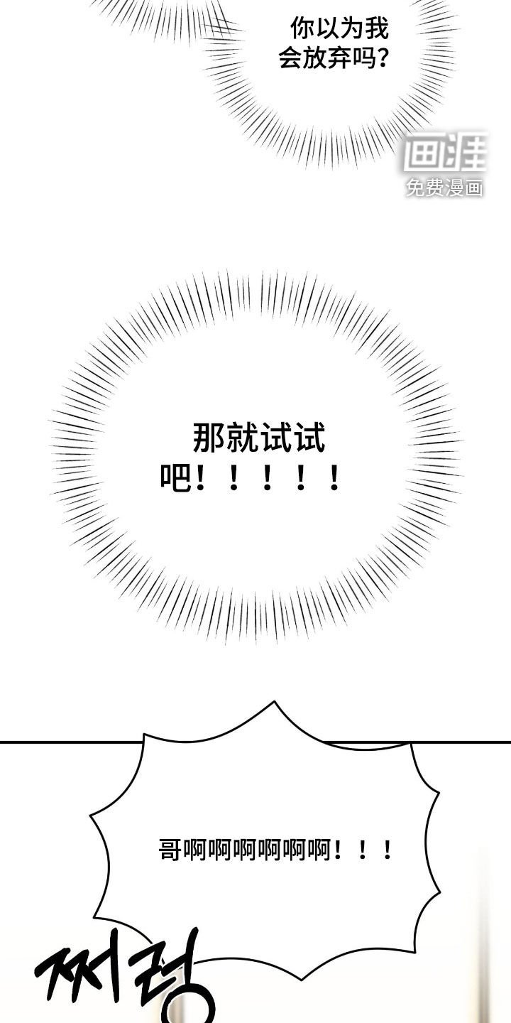 第12章：那就试试吧