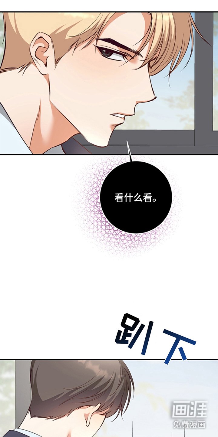 第10章：理想型