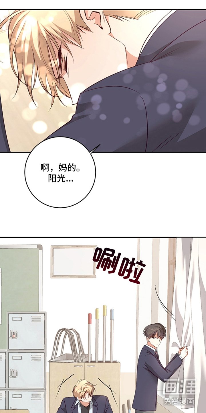 第10章：理想型